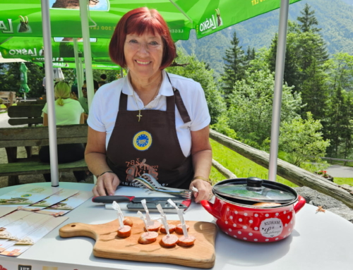 TUDI JUNIJA SMO ŠLI V PLANINE